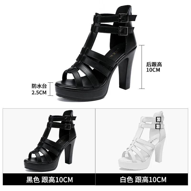Gladiator Ladies Shoe for Wome - Women'S Shoes Peep Toe recension och pris